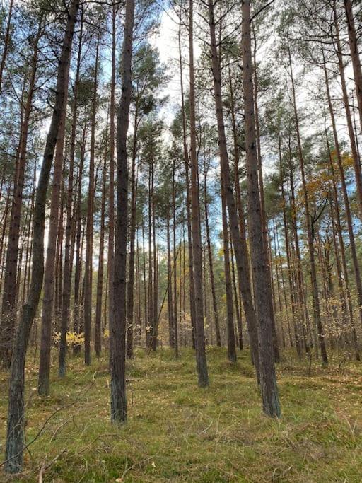 Ferienwohnung Fuer Naturliebhaber Peenemunde Dış mekan fotoğraf